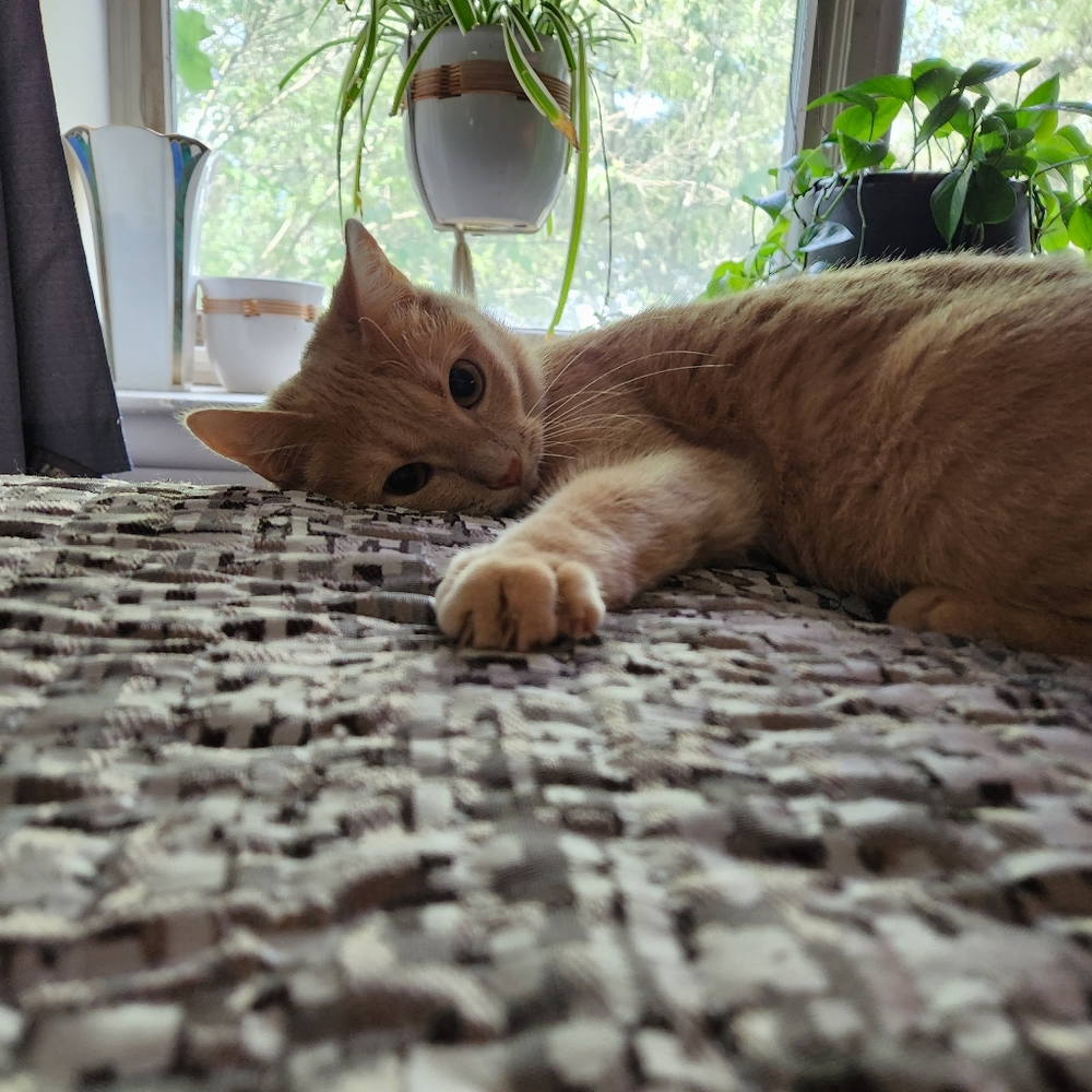 Hello! 💜💙💚 - Picture 4 of 16